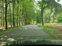 Mooie weggetjes in de omgeving van de sallandse heuvelrug