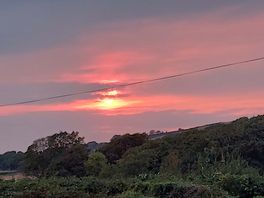Sunset at giltar grove.