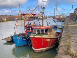 Habour view
