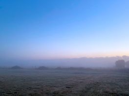 Morning view from the top field ❤️