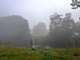 Early morning view from our tent
