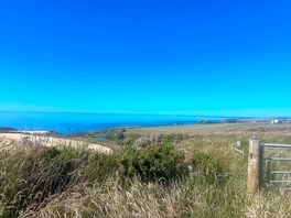 View from my van