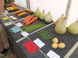 Local village fair