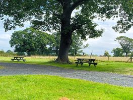 Views over the cow field and picnic benches.