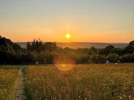Great sunset!