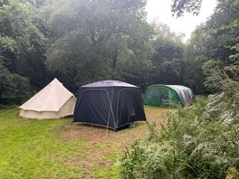 Meadow campers