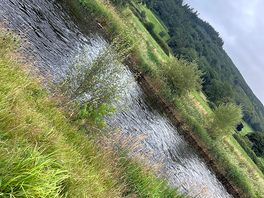 Lovely views 2 mins walk from our tent
