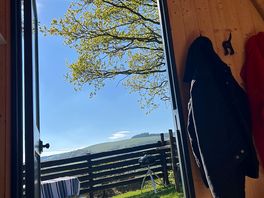 Peaceful view