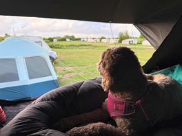 Enjoying the views