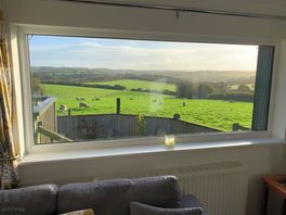 Morning views