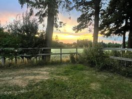 Superb sunset