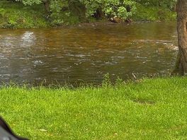 By the river