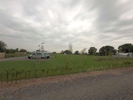 Main field