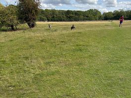 Local walks