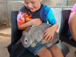 My son with one of the rabbits