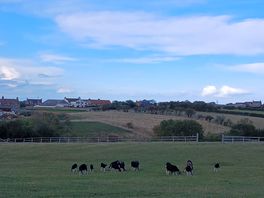 Walk round the local