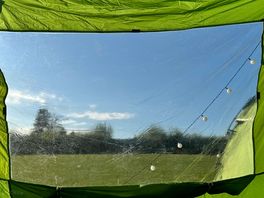 Window with a view