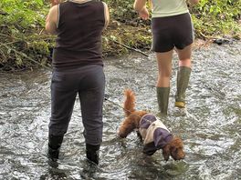 On site walk to the little stream where our children loved splashing around