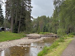 Stream running through site