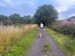 Cinder track