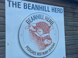 Beanhill