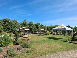 Communal pub garden area