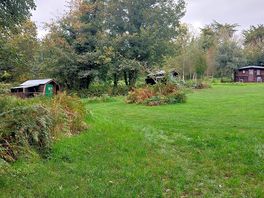 Woodland around the pods