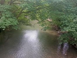 The afan forest park