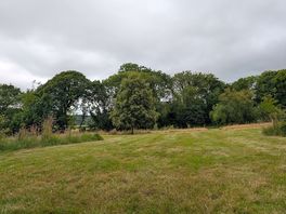 View from pitch
