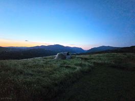 Before sunrise.