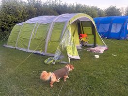 Our pitch
