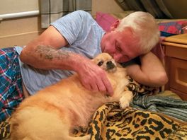 Dad n phoebe chillin on oor bed, they both are lovin life.