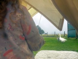 View from the bell tent with little visitors