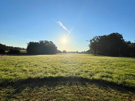 The dawn