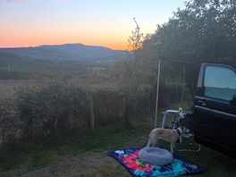 Peaceful