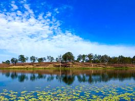 Oz Sky Ranch Campsite