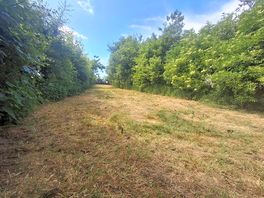 Camping pitch
