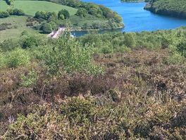 Beautiful views of the lake from our walk nearby