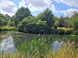 Beautiful lake metres from camping area