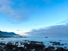 Morning view