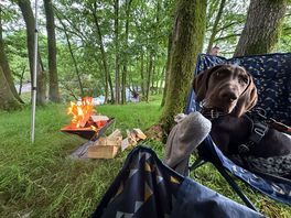 Dog friendly!