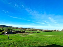 View from the van