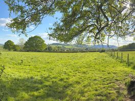 View from the site