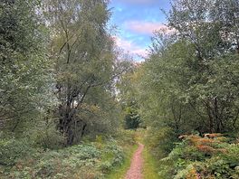 Great walking trails or biking trails