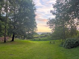 Dog exercise field