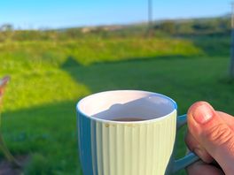 Morning coffee