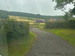 View of drive leading up to the pod.
