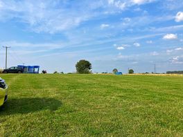 Peaceful field.