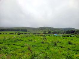 Peaceful setting