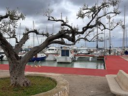Harbour